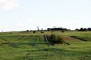 Stotzinger Heide